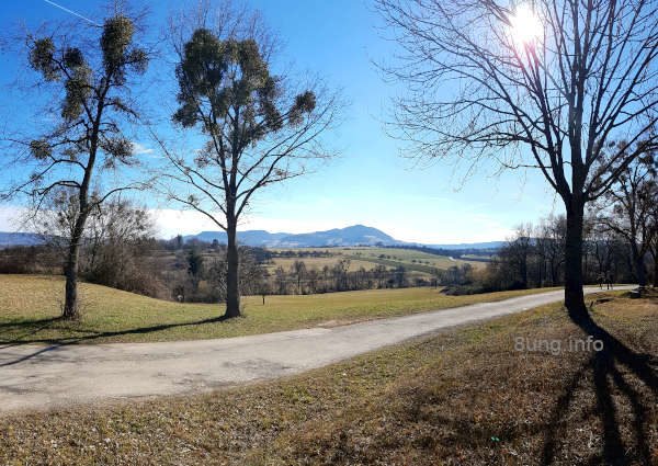 Bild des Tages: Misteln für Miraculix | Kulturmagazin 8ung.info Blick zur Burg Teck auf der Schwäbischen alb