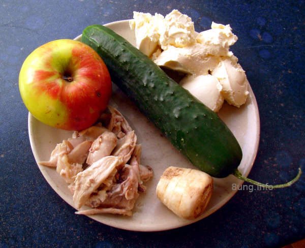 Gesunde Ernährung - Hühnerfleisch, Gurke, Apfel, Meerrettich mit Frischkäse