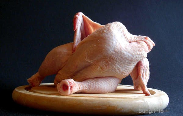 Huhn ohne Kopf