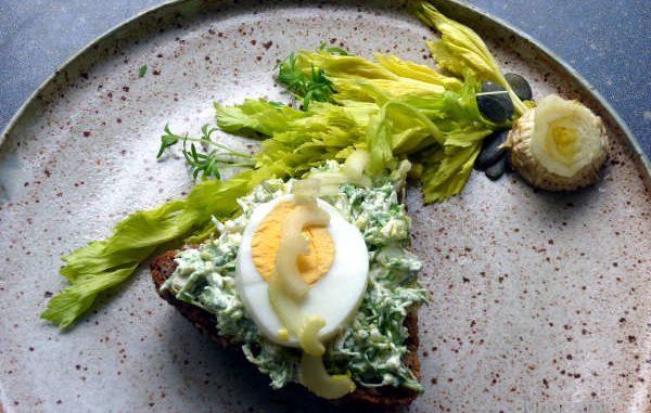 Kresse, Ei, Bleichsellerie, Kürbiskerne mit Frischkäse auf dem Vollkornbrot
