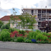 ✿ Blumenwiese statt Steinwüste