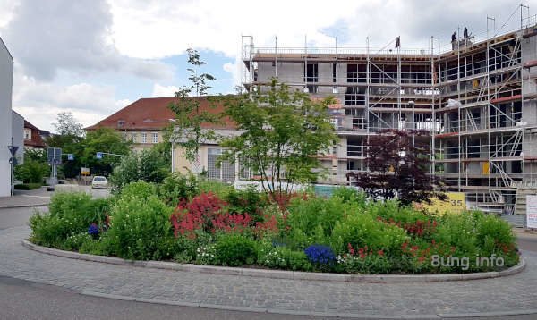 Blumeninsel mitten im Kreisverkehr