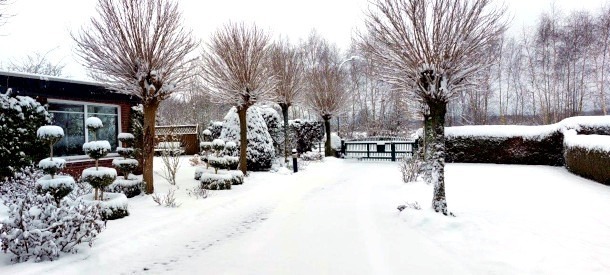 garten im Winter mit Schnee