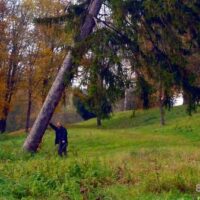 Bild des Tages – Der Mann, der Baum und der Herbst