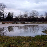 ☼ Wetterprognose Januar 2020 mittels der 12 Rauhnächte