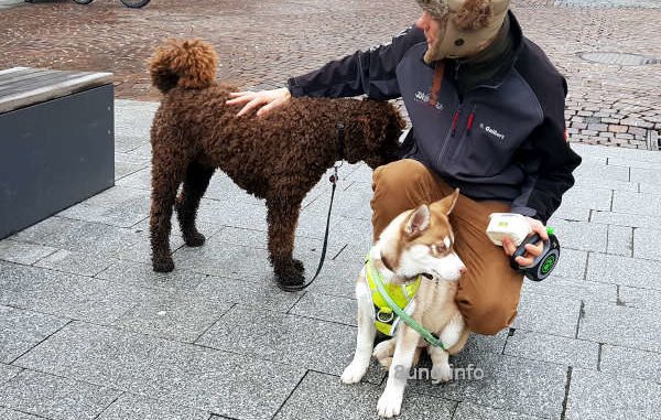 Hundebesitzer mit Welpen und Hund