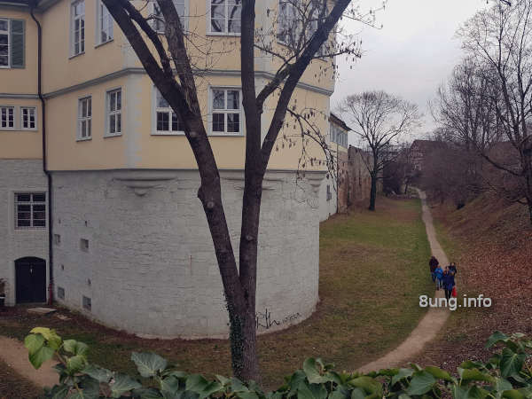 Wetterprognose Oktober 2020: Grauer Himmel am Schloss von Kirchheim