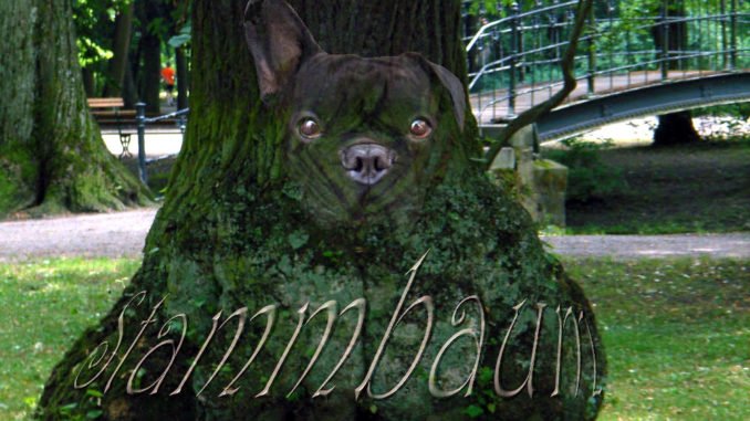 Stammbaum Fotomantage