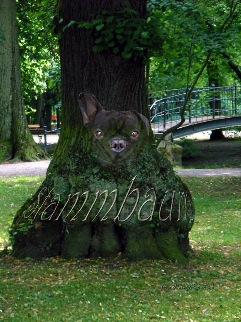 Stammbaum Fotomantage