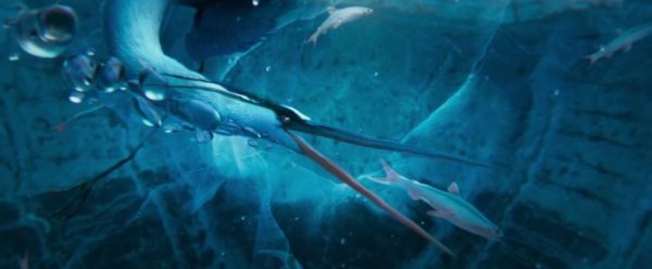 Unter dem Eis: Trickfilm „Sous la Glace“ Reiher fängt Fische