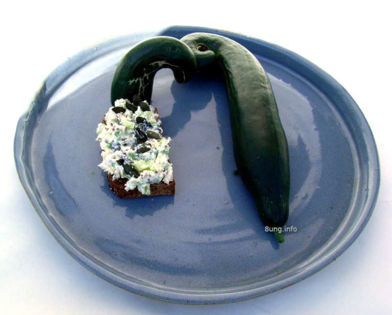 Forelle Gurke Kürbiskern mit Frischkäse