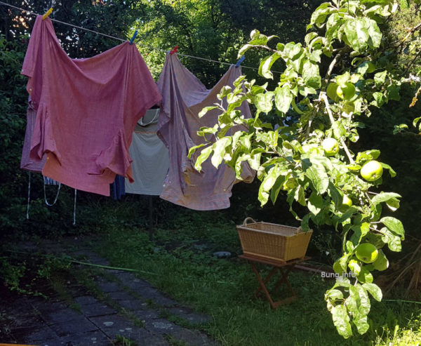 Vollmond im Juli 2020: Sonnenschein auf dem Apfelbaum, Wind für die Wäscheleine