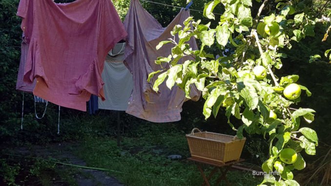 Vollmond im Juli 2020: Sonnenschein auf dem Apfelbaum, Wind für die Wäscheleine