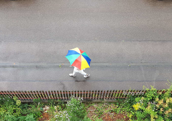 Bunter Regenschirm bei feuchtem Wetter