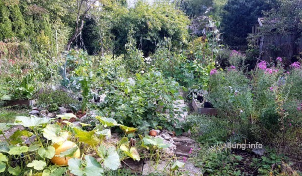 Herbstgarten mit Kürbis