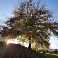 ☼ Wetter im Oktober 2020 – Sonne in den nächsten 2 Wochen