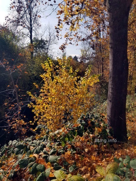 Herbst Landschaft