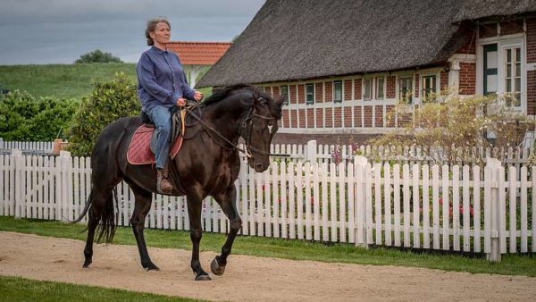 ✍ Altes Land - 2 Filme im ZDF – passend zum Novemberblues | Kulturmagazin 8ung.info Altes Land: Vera Eckhoff (Iris Berben) trabt heute immer noch gerne mit ihrem stolzen Ostpreußen provokativ über den frisch geharkten Sandweg ihres Nachbarn.