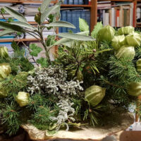 ✿ Garten im November 2020 – Gesteck zum 1. Advent