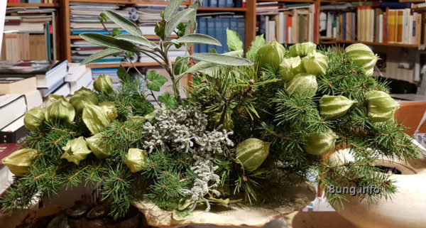Mein Garten im November 2020 - Adventsgesteck mit Physalis-Früchten als grüne Blüten