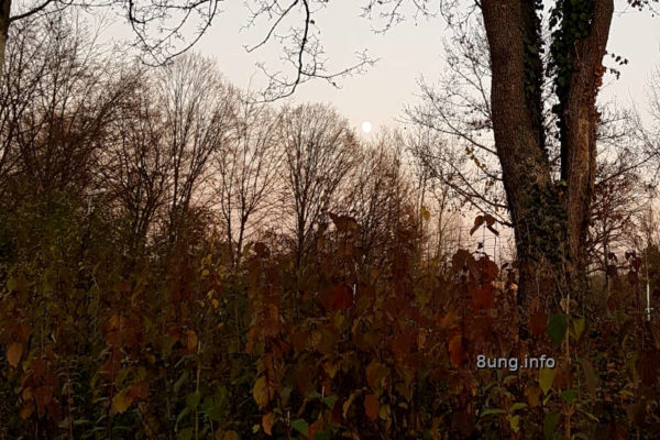 Weter im November - kurz vor Vollmond