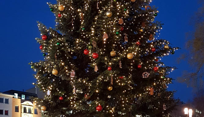 Wetter im Dezember - Weihnachtsbaum und blauer Himmel
