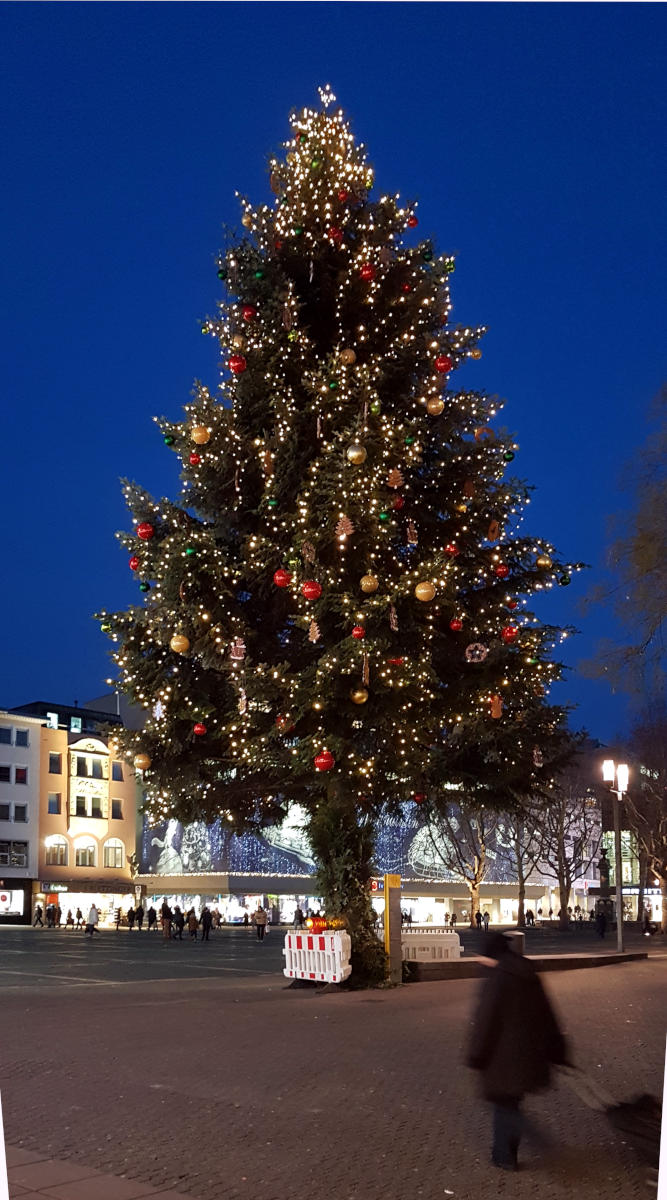 Wetter im Dezember - Weihnachtsbaum und blauer Himmel