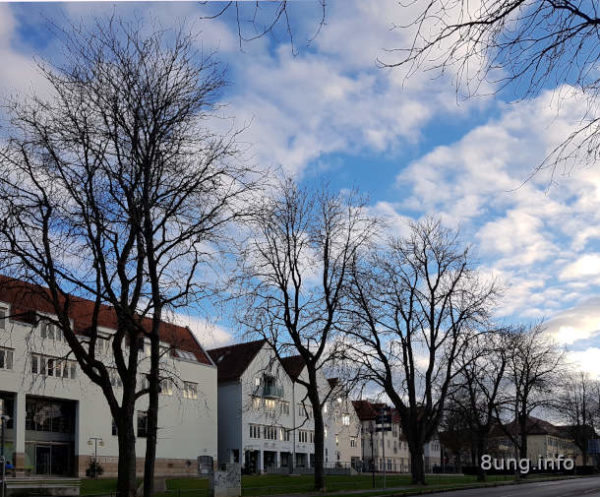 Wetterprognose Mai 2021 - Kastanienallee in Kirchheim im Dezember