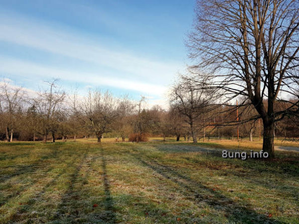 ☼ Wetterprognose Februar 2021 mittels der 12 Rauhnächte | Kulturmagazin 8ung.info Wetterprognose Februar 2020: Streuobstwiese mit Raureif
