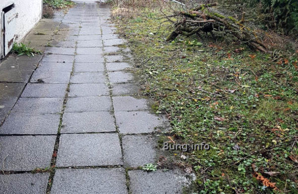 Wetterprognose Mai 2021 - feuchtnasser Monatsanfang