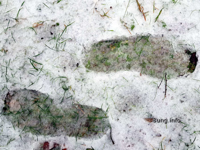 Wetter im Dazember - Spuren im Schnee