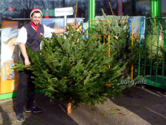 Weihnachtsbaum-Verkäufer bei strahlendem Sonnenschein