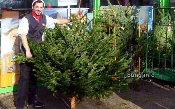 Weihnachtsbaum-Verkäufer bei strahlendem Sonnenschein