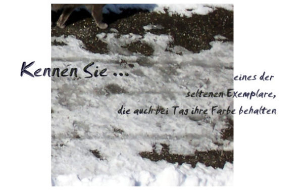 156. Rätsel für UmdieEckeDenker - Kennen Sie die seltenen Exemplare, die auch bei Tag ihre Farbe behalten?