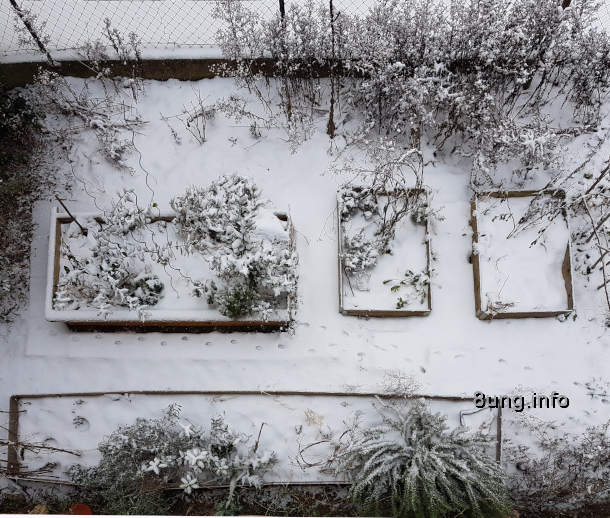 Blick vom oben auf den Garten im Winter