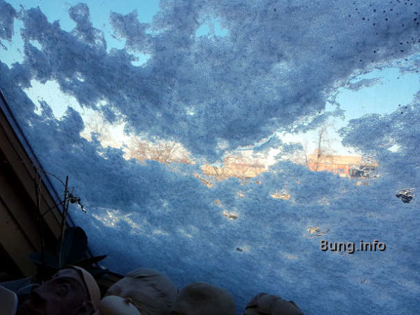 Blick aus meinem verschneiten Dachflächenfenster: Blauer Himmel
