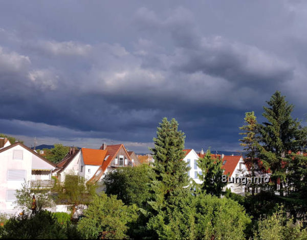 ✿ Garten im Juni: 1. Dicke Bohnen – reif fürs Mittagessen | Kulturmagazin 8ung.info Wetter im Juni: Gewitterwolken und Sonnenschein