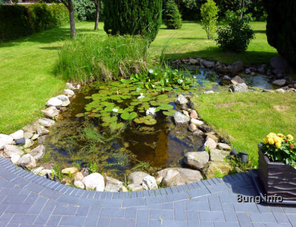 kleiner gartenteich mit Seerosen, mit Steinen umrandet