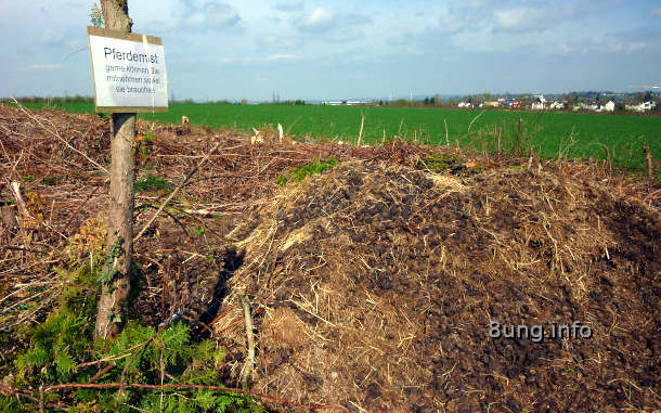 Pferdemist auf der Wiese