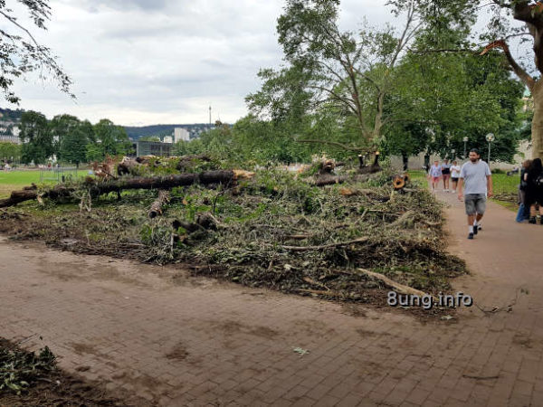 Schlosspark in Stuttgart 3 Tage nach dem Hagel