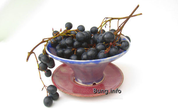 Rote Weintrauben in der Schale