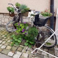 ♥ Traumhafter Blumenständer, ebenso dekorativ wie nachhaltig