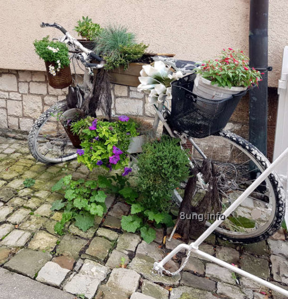 Blumenfahrrad