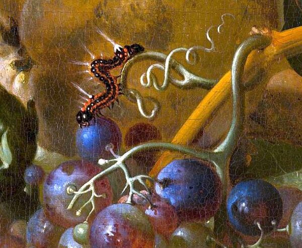 ☛ Museum: "In Voller Blüte" im Mauritshuis Den Haag | Kulturmagazin 8ung.info Ambrosius Bosschaert der Ältere - Detail aus Vase mit Blumen am Fenster, 1618 (c)'Mauritshuis, The Hague'