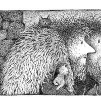 ✍ Bilderbuchtipp: Die Nacht im Zauberwald