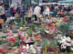 Blumenstand auf dem Markt zum 1. Advent
