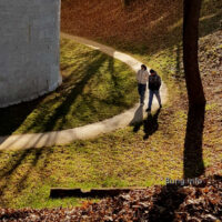 ☼ Wetterbilder im Januar – Licht und Schatten