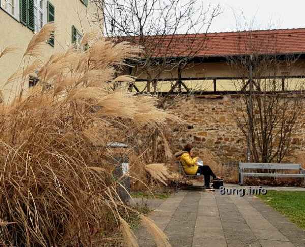 Wetter, vertrocknetes Pampasgras, Frau sitzt auf der Bank