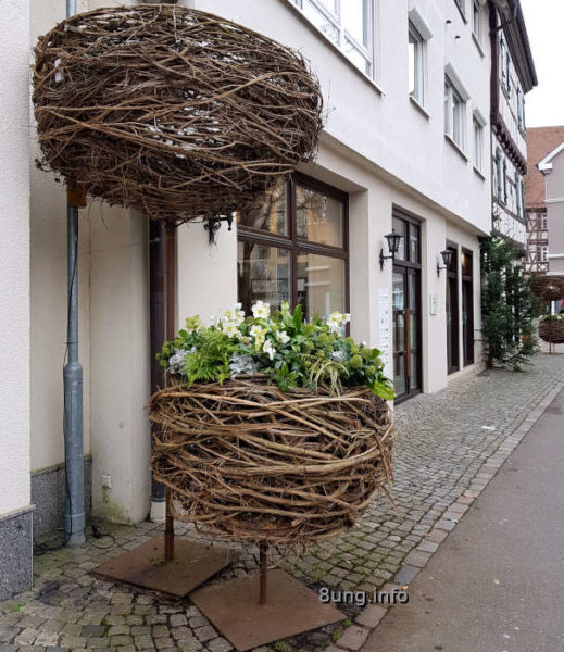 Große Körbe mit Christrosen