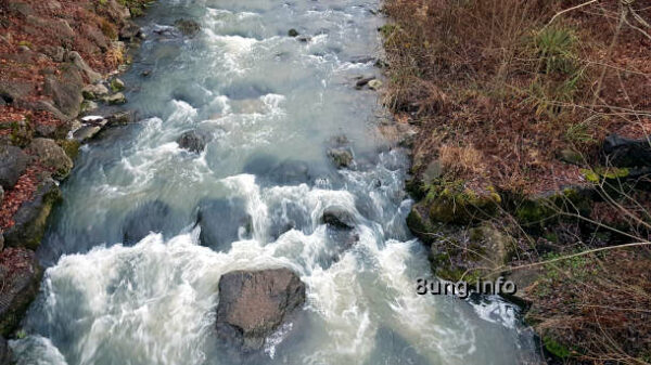 Wetter, reißender Bach mit großen Steinen als Hindernisse